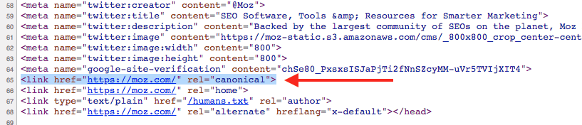 Canonical Tag Example 2020