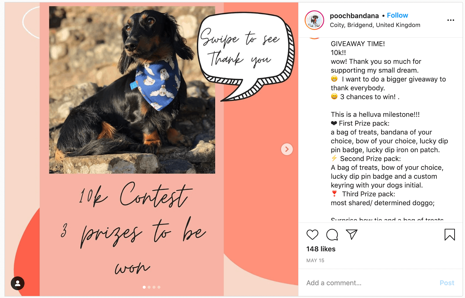 Pooch Bandana Instagram