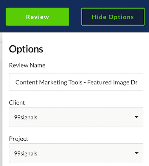 ReviewStudio Project Name Options